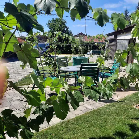 Apartment In Buek/nordtransdanubien 20398 Buk
